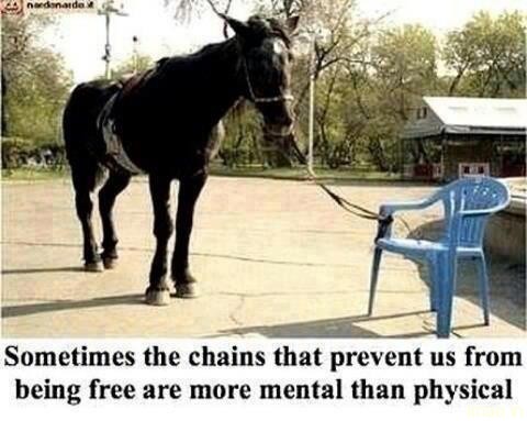 chains-prevent-us-being-free humorous photos