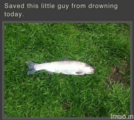 saved-fish-from-drowning humorous photos