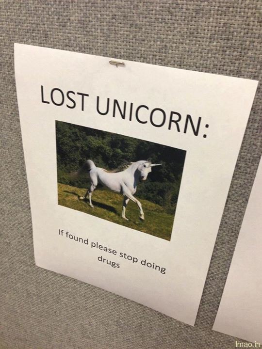 lost-unicorn humorous photos