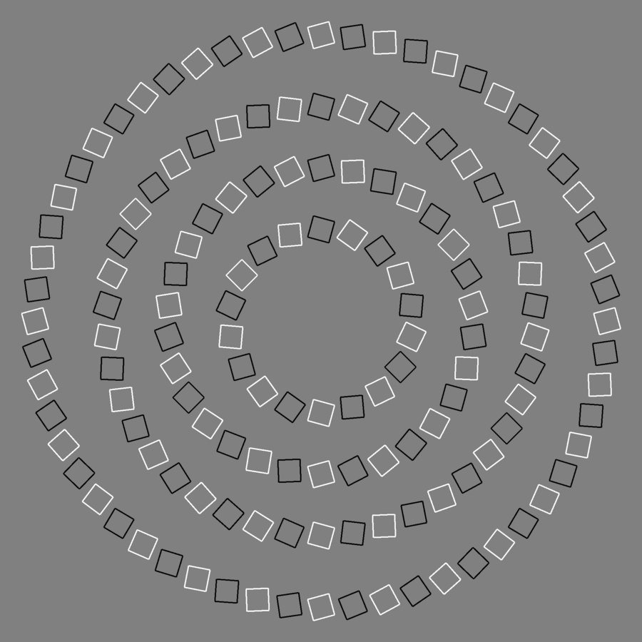 Pinna's_illusory optical illusion