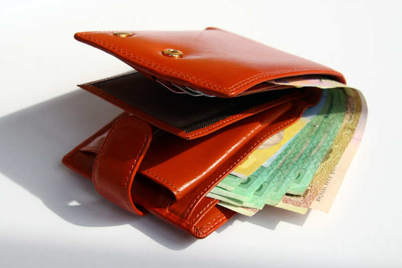 Money in Wallet for travelling