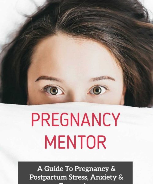 Pregnancy Mentor
